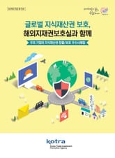 글로벌 지식재산권 보호, 해외지재권보호실과 함께 표지 이미지