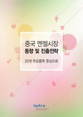 중국 엔젤시장 동향 및 진출전략 표지 이미지