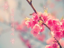 봄, 연애의 시작과 끝