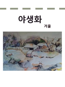 야생화 겨울