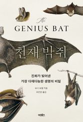 천재 박쥐 표지 이미지