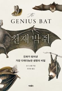 천재 박쥐