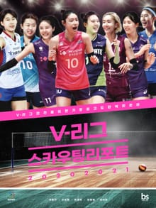 20202021 V-리그 스카우팅리포트