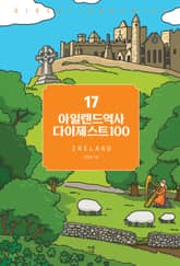 아일랜드역사 다이제스트 100 표지 이미지