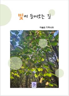 빛이 들어오는 길