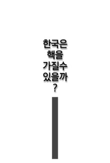 한국은 핵을 가질 수 있을까?