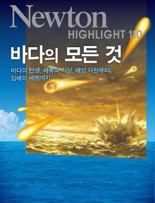바다의 모든 것