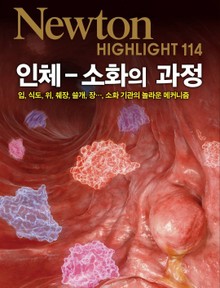 인체 소화의 과정