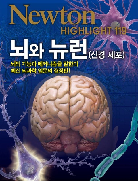 뇌와 뉴런(신경 세포) 표지 이미지