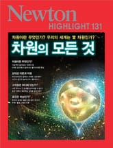 차원의 모든 것 표지 이미지