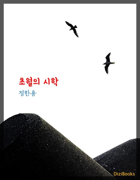 초월의 시학 표지 이미지