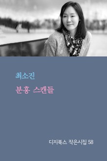 분홍 스캔들