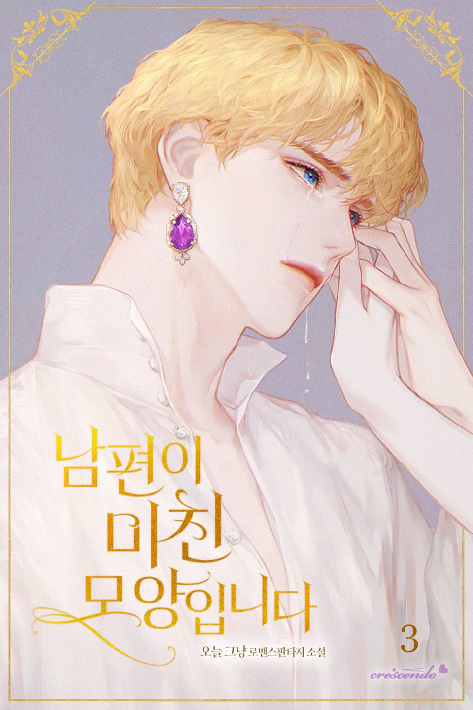 남편이 미친 모양입니다 3권