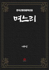 며느리 표지 이미지