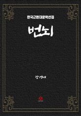 번뇌 표지 이미지