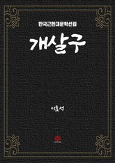 개살구 표지 이미지