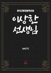 이상한 선생님 표지 이미지