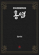 홍염 표지 이미지