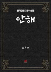 안해 표지 이미지