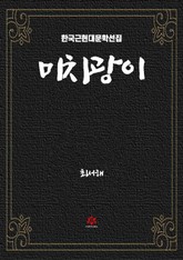 미치광이 표지 이미지