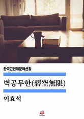 벽공무한 표지 이미지