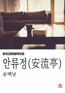 안류정