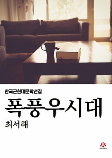 폭풍우시대
