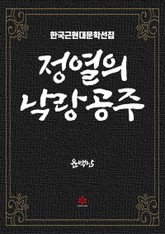 정열의 낙랑공주 표지 이미지