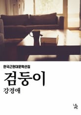 검둥이 표지 이미지