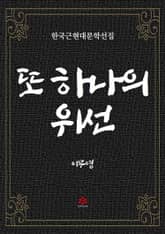 또 하나의 위선 표지 이미지