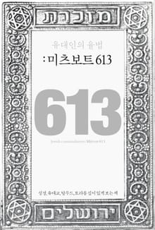 유대인의 율법: 미츠보트 613