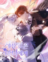 새를 잊은 마녀에게 표지 이미지