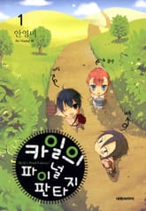 카일의 파이널 판타지 표지 이미지