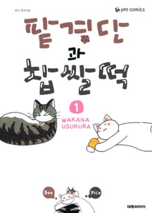 팥경단과 찹쌀떡