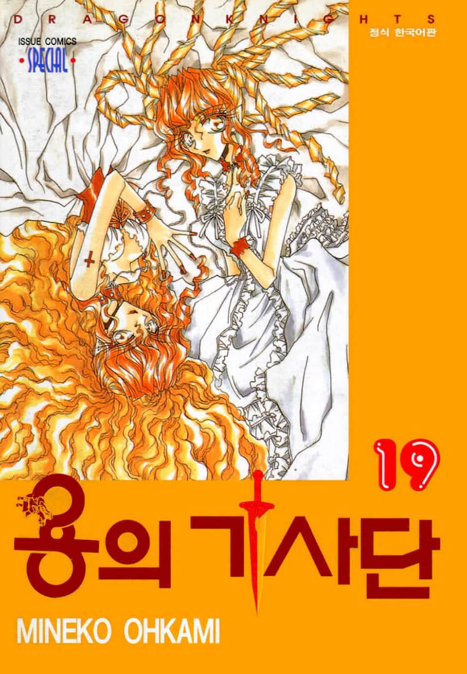 용의 기사단 19권