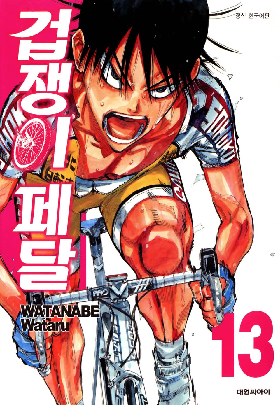 겁쟁이 페달 13권