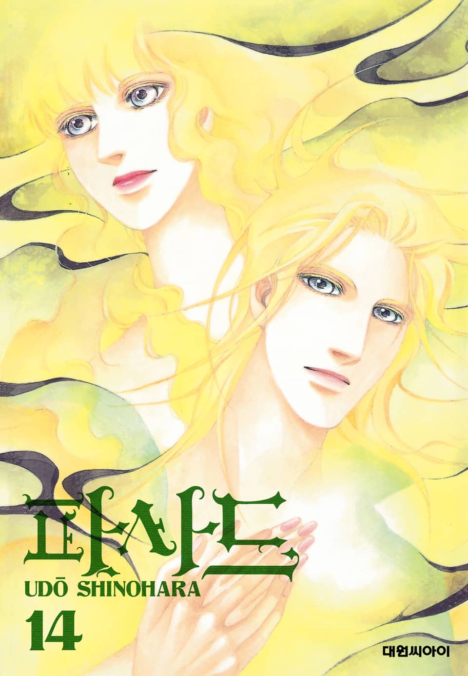 파사드(개정판) 14권