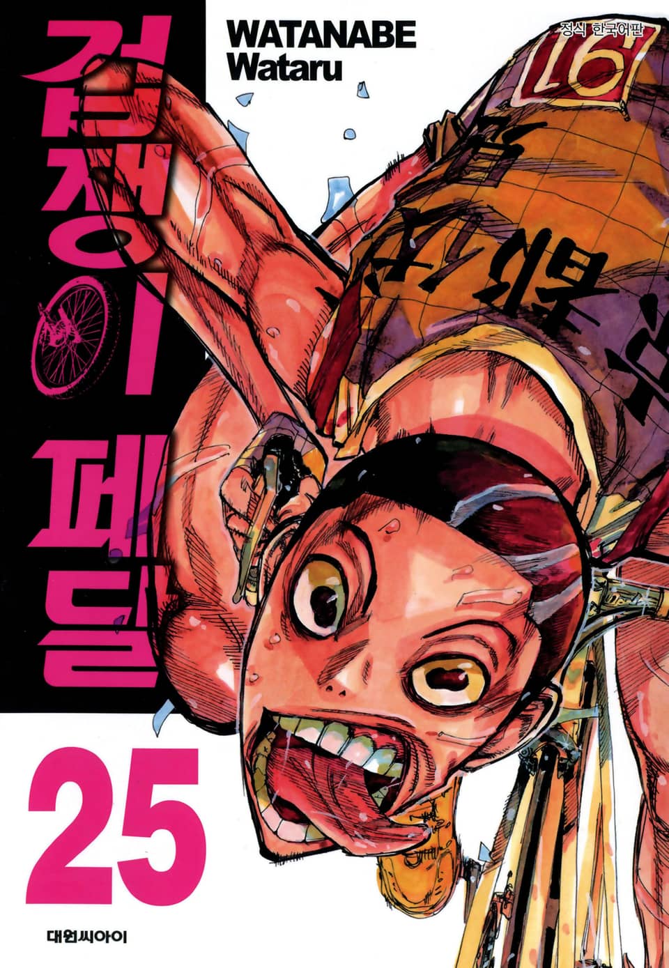 겁쟁이 페달 25권