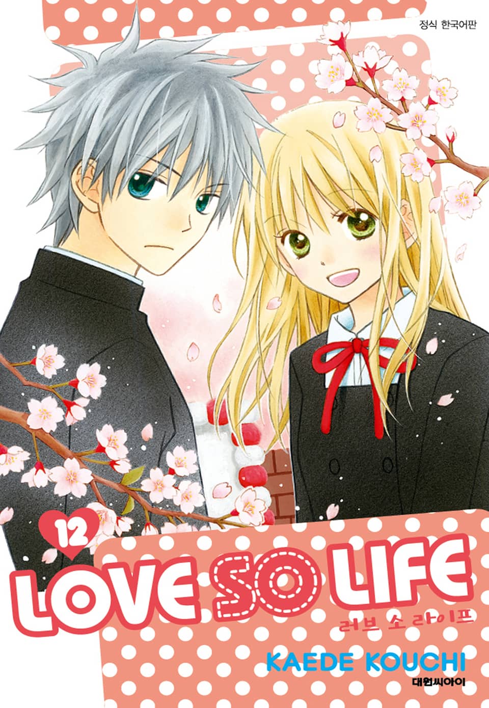 러브 소 라이프(LOVE SO LIFE) 12권