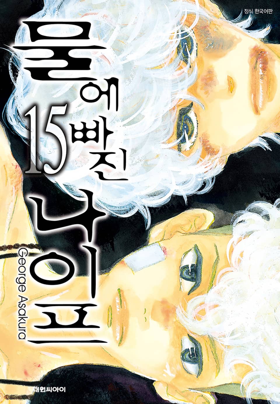 물에 빠진 나이프 15권