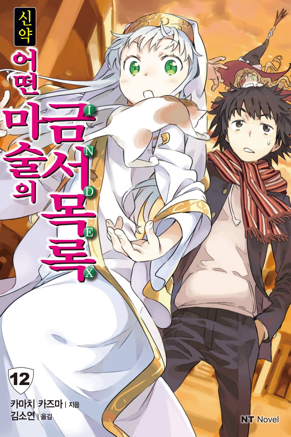 신약 어떤 마술의 금서목록 12권