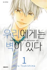 우리에게는 벽이 있다 표지 이미지