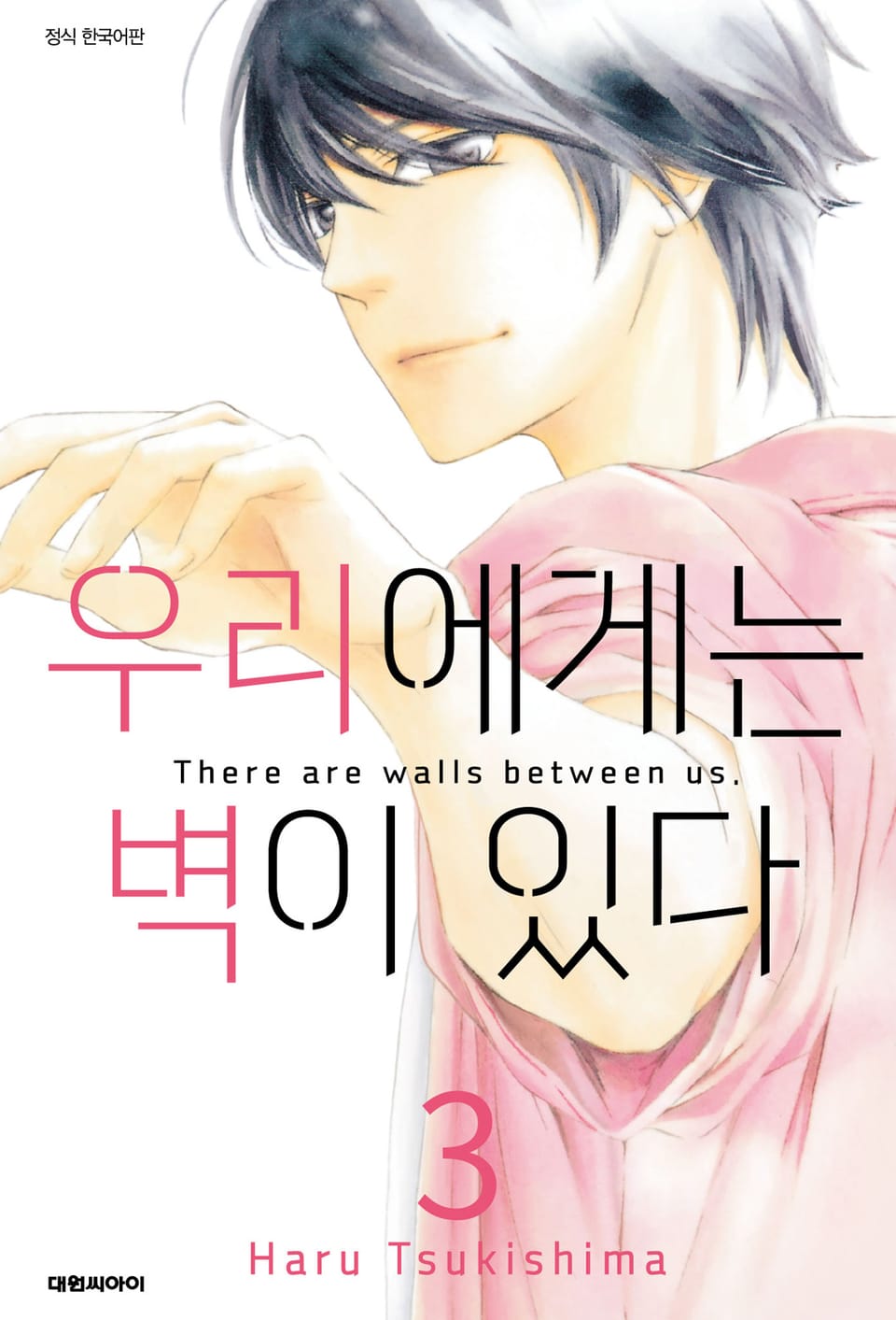 우리에게는 벽이 있다 3권