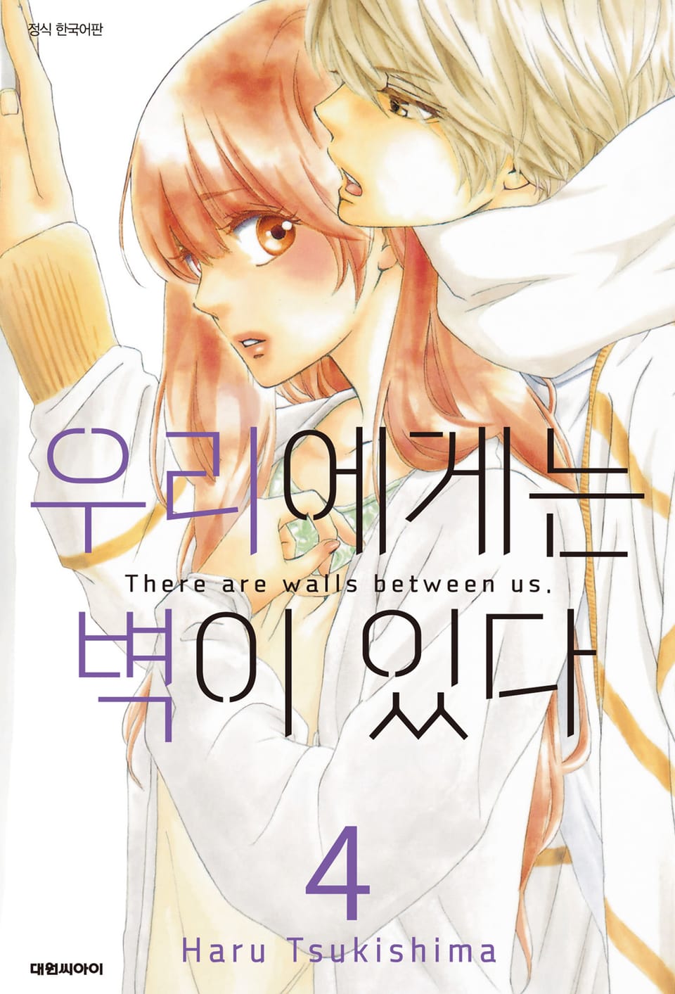 우리에게는 벽이 있다 4권