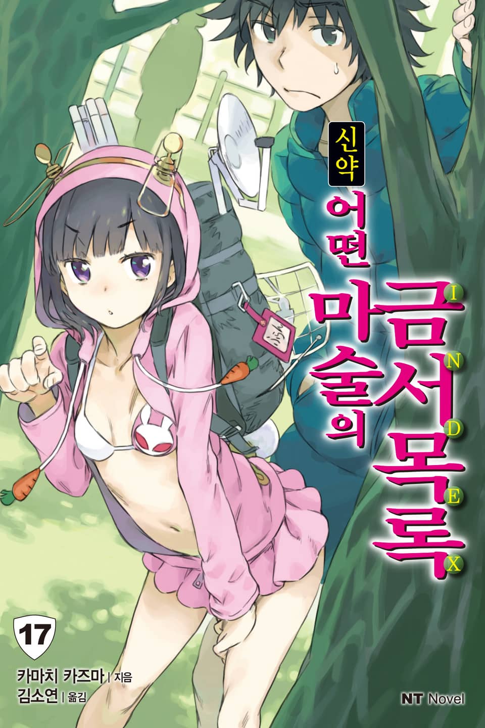 신약 어떤 마술의 금서목록 17권