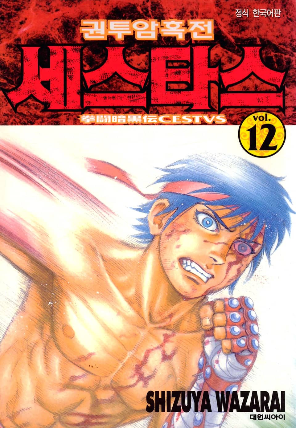 권투암흑전 세스타스 12권