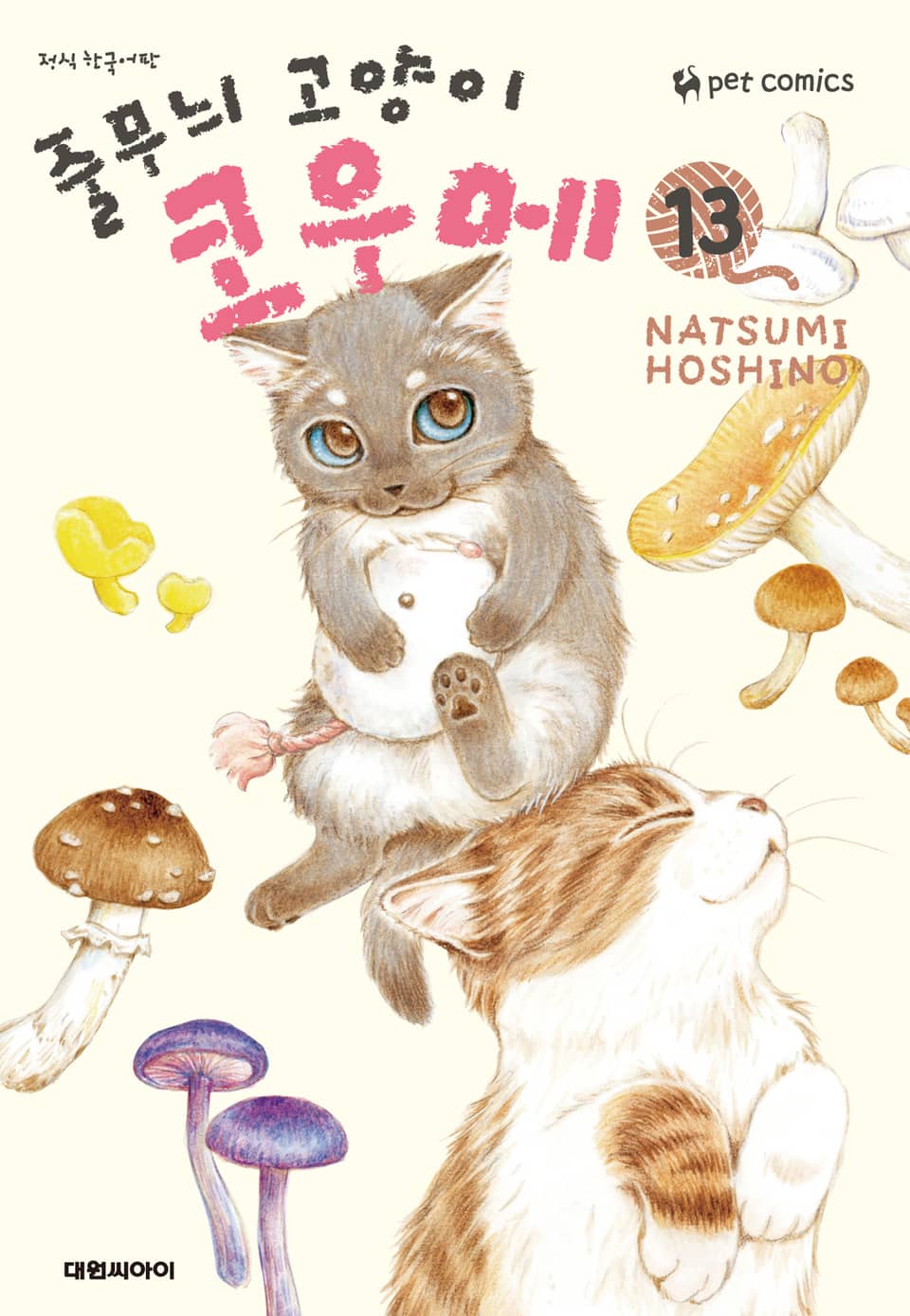 줄무늬 고양이 코우메 13권