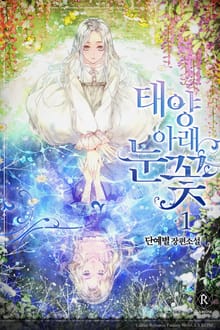 태양 아래 눈꽃