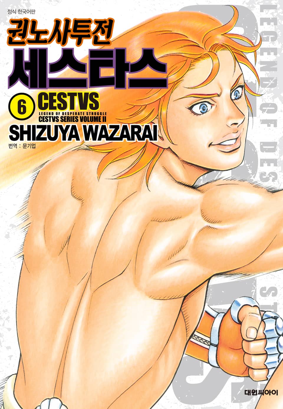 권노사투전 세스타스 6권