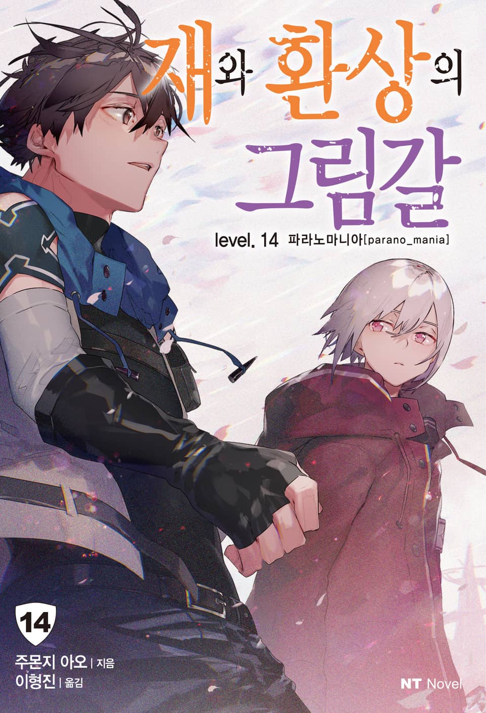 재와 환상의 그림갈 14권